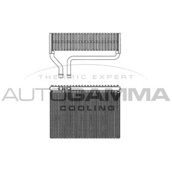 Évaporateur climatisation AUTOGAMMA OEM 6444C6