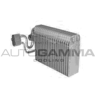 Évaporateur climatisation AUTOGAMMA 112067