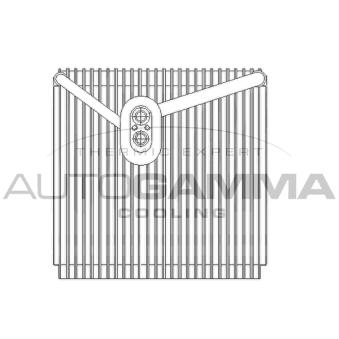 Évaporateur climatisation AUTOGAMMA [112127]