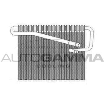 Évaporateur climatisation AUTOGAMMA 112213