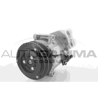 Compresseur, climatisation AUTOGAMMA OEM 13414019