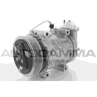 Compresseur, climatisation AUTOGAMMA 118442