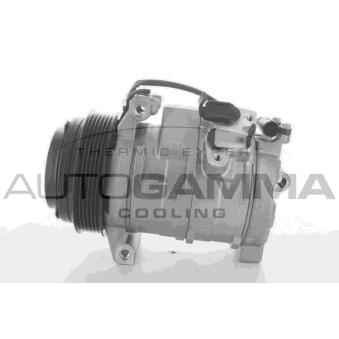 Compresseur, climatisation AUTOGAMMA OEM 55116839AA