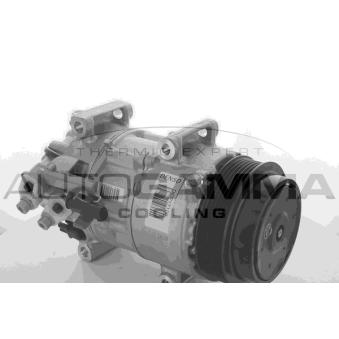 Compresseur, climatisation AUTOGAMMA OEM 0022306811