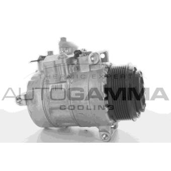 Compresseur, climatisation AUTOGAMMA OEM 0012305111