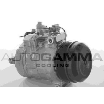 Compresseur, climatisation AUTOGAMMA OEM 0032308711