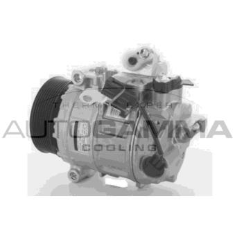 Compresseur, climatisation AUTOGAMMA OEM JPB500200