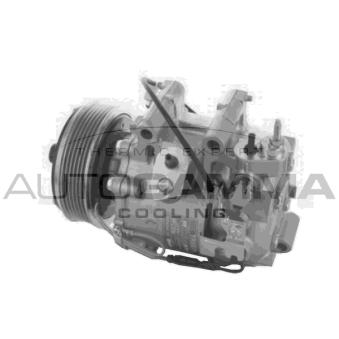 Compresseur, climatisation AUTOGAMMA OEM 38810R1AY01 Compresseur, climatisation AUTOGAMMA OEM 38810R1AY01