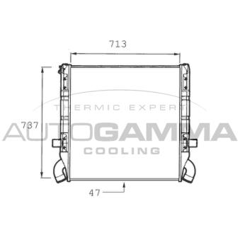 Radiateur, refroidissement du moteur AUTOGAMMA OEM 1100630