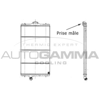 Radiateur, refroidissement du moteur AUTOGAMMA [403618]
