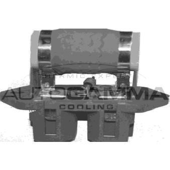 Résistance du ventilateur de radiateur AUTOGAMMA OEM 60815447