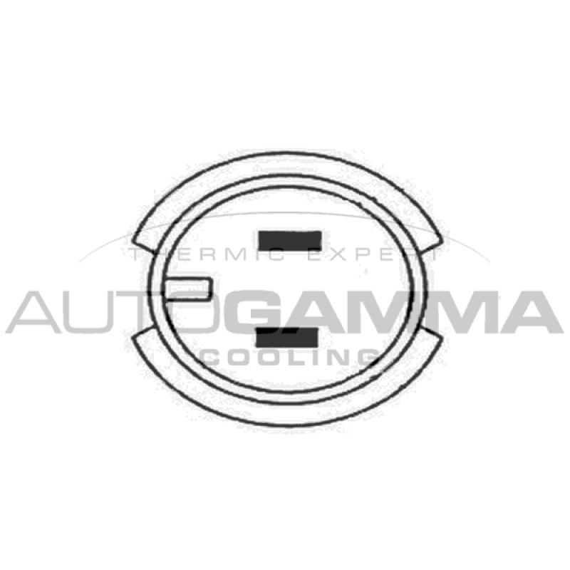 Ventilateur, refroidissement du moteur AUTOGAMMA GA200422 - Visuel 1