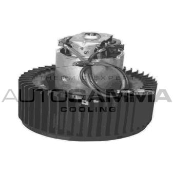 Pulseur d'air habitacle AUTOGAMMA GA20046