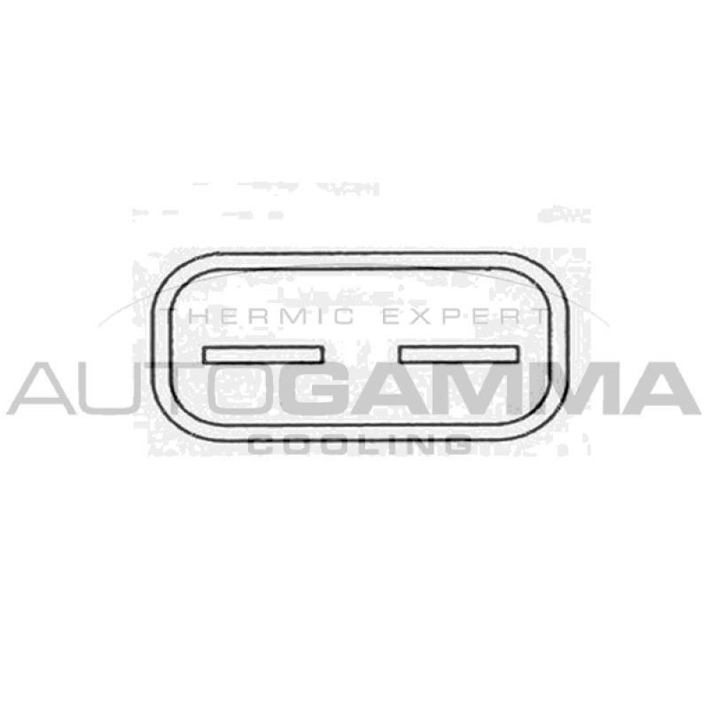 Ventilateur, refroidissement du moteur AUTOGAMMA GA200867 - Visuel 1