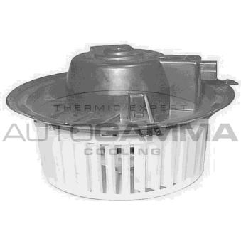 Pulseur d'air habitacle AUTOGAMMA GA20146