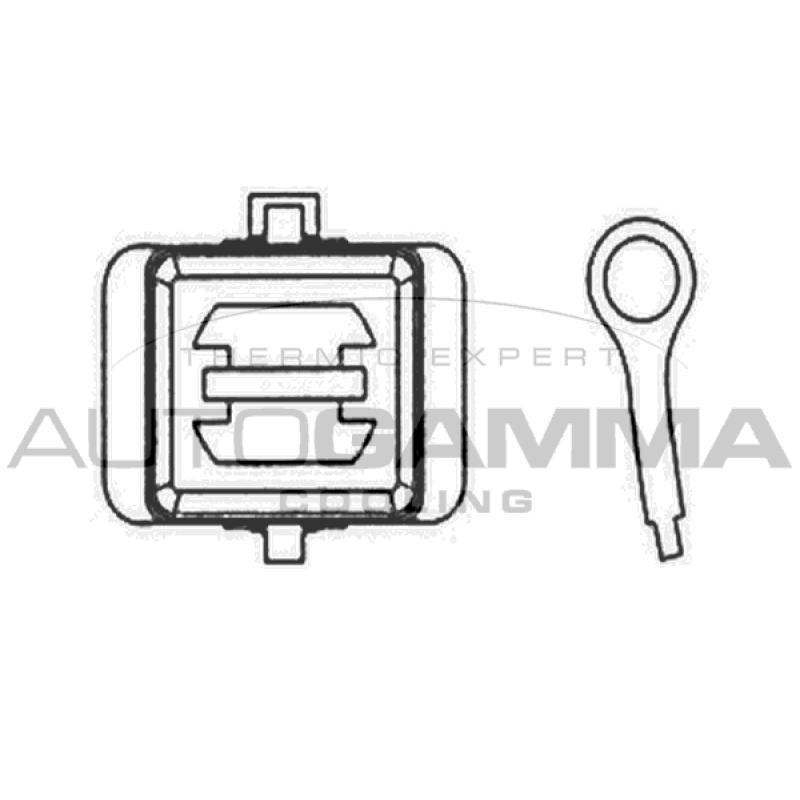Ventilateur, refroidissement du moteur AUTOGAMMA GA201475 - Visuel 1