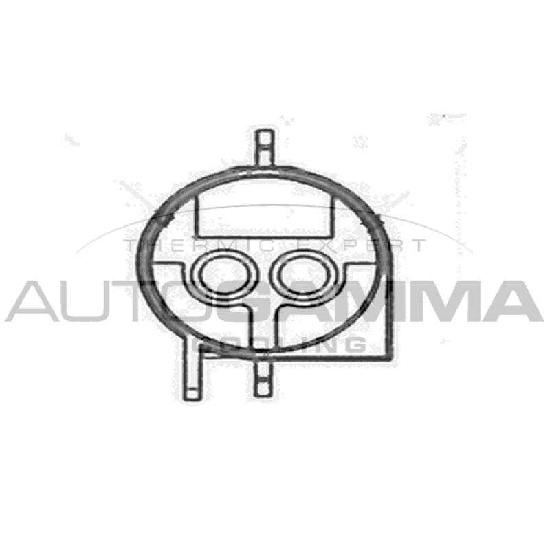 Ventilateur, refroidissement du moteur AUTOGAMMA GA201686 - Visuel 1