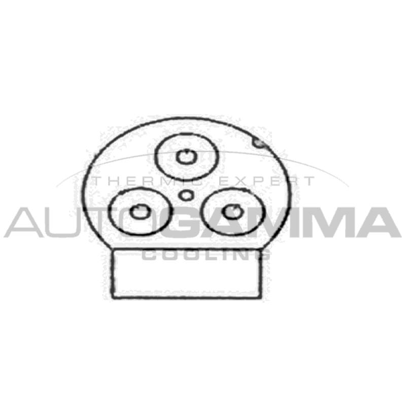 Ventilateur, refroidissement du moteur AUTOGAMMA GA201795 - Visuel 1