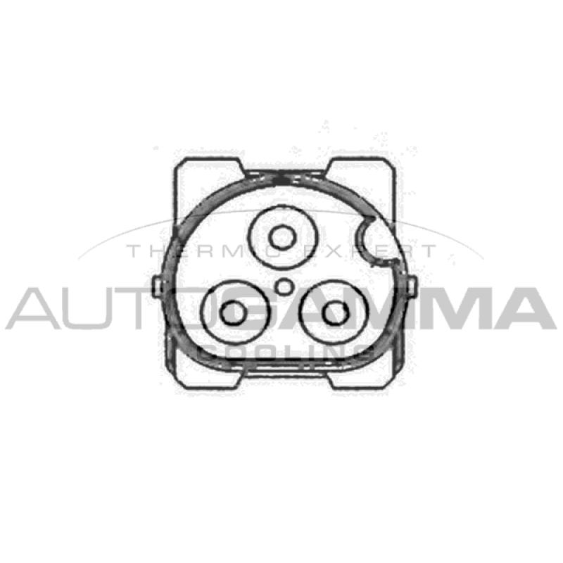 Ventilateur, refroidissement du moteur AUTOGAMMA GA201796 - Visuel 1