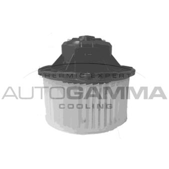 Pulseur d'air habitacle AUTOGAMMA GA38009