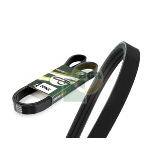 Courroie trapézoïdale à nervures BGA 3PK806E