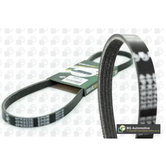 Courroie trapézoïdale à nervures BGA OEM 117200N502