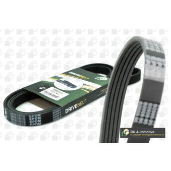 Courroie trapézoïdale à nervures BGA OEM 129977592