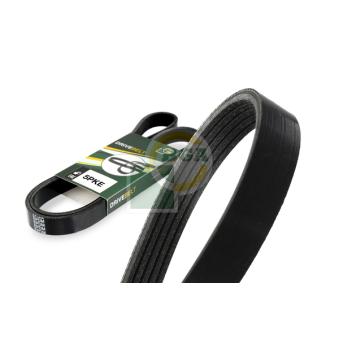 Courroie trapézoïdale à nervures BGA 5PK695E