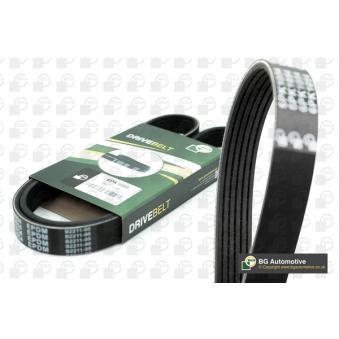 Courroie trapézoïdale à nervures BGA OEM LR066153