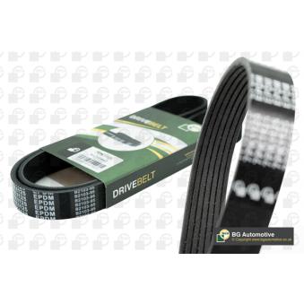 Courroie trapézoïdale à nervures BGA OEM PQS101470