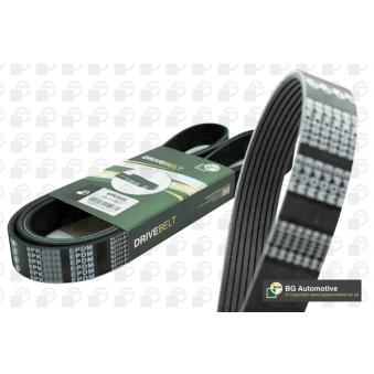 Courroie trapézoïdale à nervures BGA 8PK1055