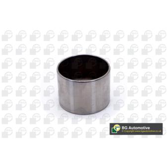 Poussoir de soupape BGA OEM 9108191