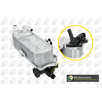 Radiateur d'huile de boîte automatique BGA [CO0932]