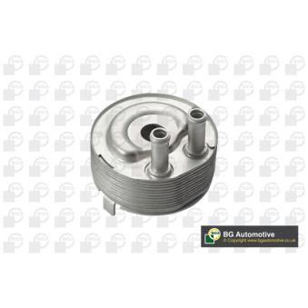 Radiateur d'huile BGA OEM 213055M301