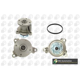 Pompe à eau, refroidissement du moteur BGA OEM 2510003010