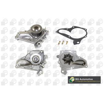 Pompe à eau, refroidissement du moteur BGA OEM 1610079115 Pompe à eau, refroidissement du moteur BGA OEM 1610079115