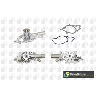 Pompe à eau, refroidissement du moteur BGA OEM 6112200110 Pompe à eau, refroidissement du moteur BGA OEM 6112200110