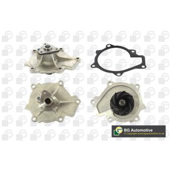 Pompe à eau, refroidissement du moteur BGA OEM 251002F000