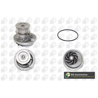 Pompe à eau, refroidissement du moteur BGA OEM 24409355 Pompe à eau, refroidissement du moteur BGA OEM 24409355