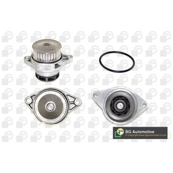 Pompe à eau, refroidissement du moteur BGA OEM 030121008R Pompe à eau, refroidissement du moteur BGA OEM 030121008R