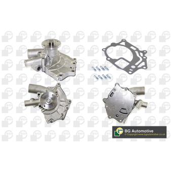 Pompe à eau, refroidissement du moteur BGA OEM 210109C600 Pompe à eau, refroidissement du moteur BGA OEM 210109C600