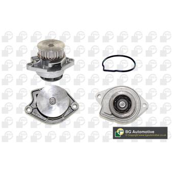 Pompe à eau, refroidissement du moteur BGA OEM 036121005R Pompe à eau, refroidissement du moteur BGA OEM 036121005R