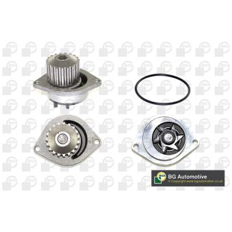Pompe à eau, refroidissement du moteur BGA OEM 120100000 Pompe à eau, refroidissement du moteur BGA OEM 120100000