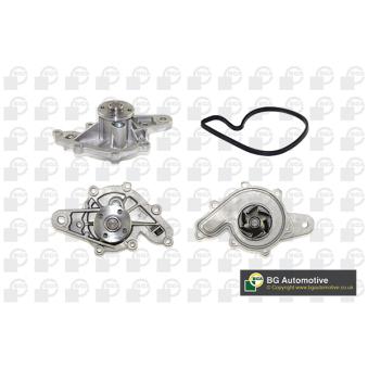 Pompe à eau, refroidissement du moteur BGA OEM 3165V003 Pompe à eau, refroidissement du moteur BGA OEM 3165V003