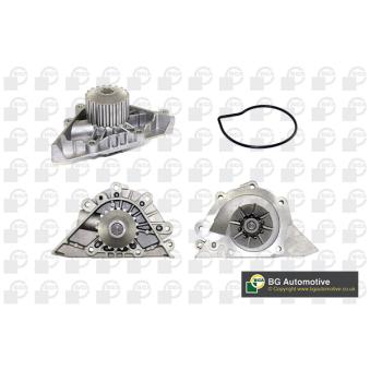 Pompe à eau, refroidissement du moteur BGA OEM 1201F5 Pompe à eau, refroidissement du moteur BGA OEM 1201F5