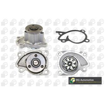 Pompe à eau, refroidissement du moteur BGA OEM 210100906R