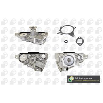 Pompe à eau, refroidissement du moteur BGA OEM ZL0115010A Pompe à eau, refroidissement du moteur BGA OEM ZL0115010A