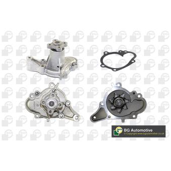 Pompe à eau, refroidissement du moteur BGA OEM 2510002555 Pompe à eau, refroidissement du moteur BGA OEM 2510002555