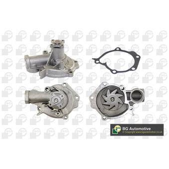 Pompe à eau, refroidissement du moteur BGA OEM 2510038002