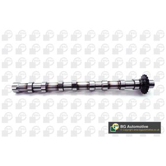 Arbre à came BGA [CS2327]